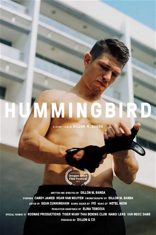 Hummingbird poster