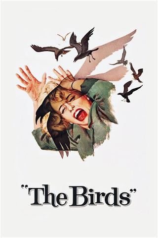 Os Pássaros poster