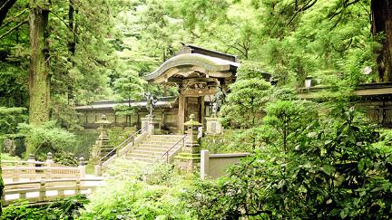 Souls of Zen: Nach dem Tsunami - Buddhismus und Ahnengedenken in Japan 2011 poster