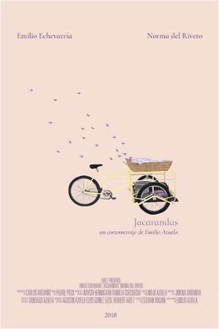 Jacarandas poster