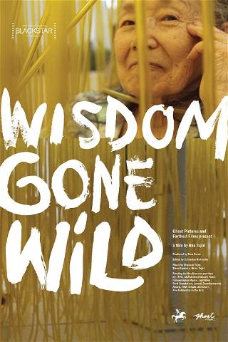Wisdom Gone Wild poster