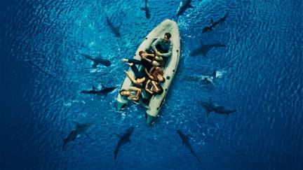 Perdidos entre tiburones poster