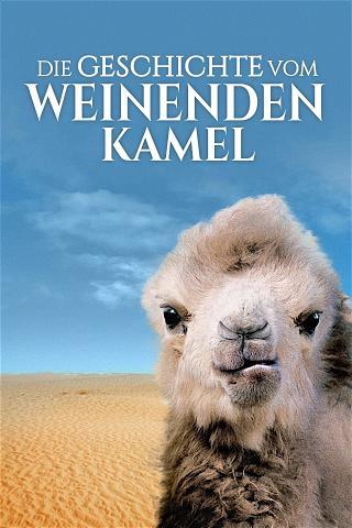 Die Geschichte vom weinenden Kamel poster