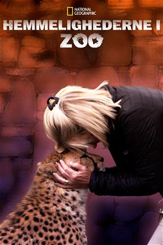 Hemmelighederne i Zoo poster