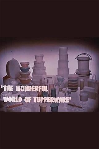 The Wonderful World of Tupperware poster