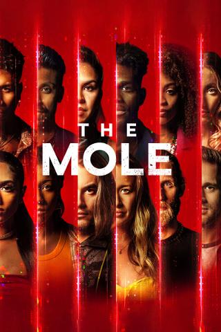 The Mole: USA poster