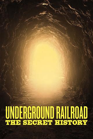 Underground Railroad: The Secret History poster
