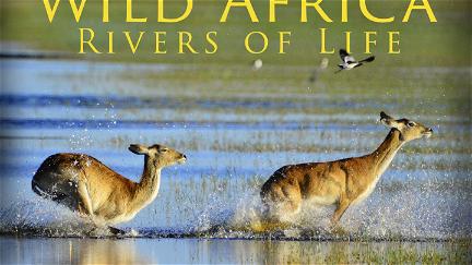 Wild Africa: Rivers of Life poster
