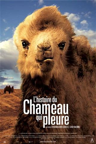 L'Histoire du chameau qui pleure poster