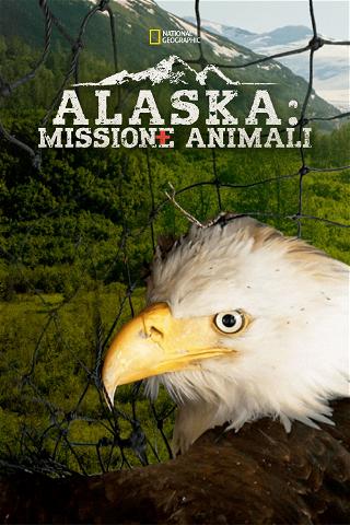 Alaska: Missione Animali poster