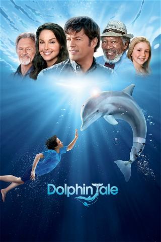 Delfiinitarina poster