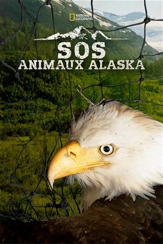 SOS Animaux Alaska poster
