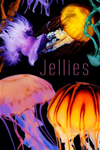 The Art of Nature: Jellies poster