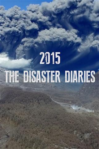 2015: The Disaster Diaries poster