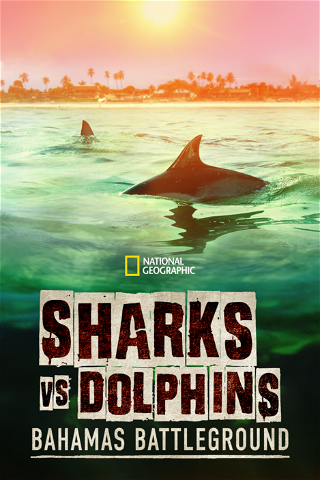 Sharks vs. Dolphins: Bahamas Battleground poster