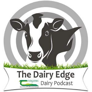The Dairy Edge poster