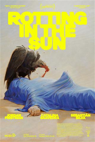 Rotting in the Sun poster