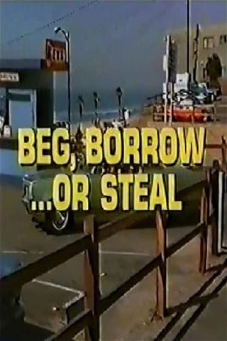 Beg, Borrow...or Steal poster