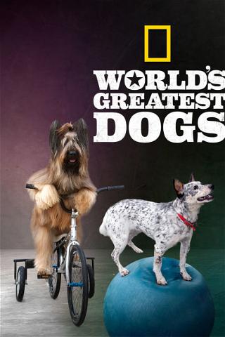 World's Greatest Dogs poster