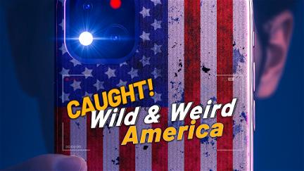 Wild & Weird America poster