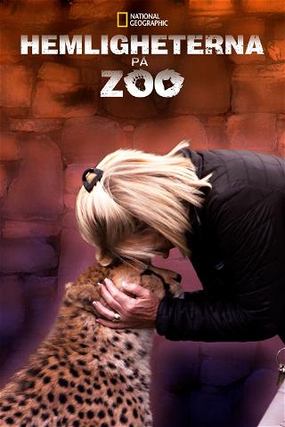 Secrets of the Zoo poster