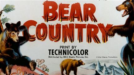 Il paese degli orsi poster