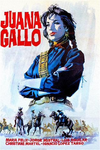 The Guns of Juana Gallo poster