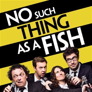 No Such Thing As A Fish poster