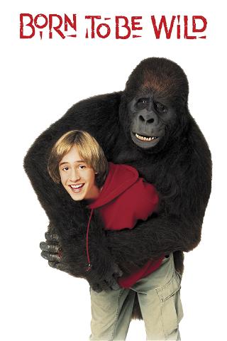 Una gorilla per amica poster