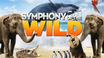 Symphony of the Wild poster