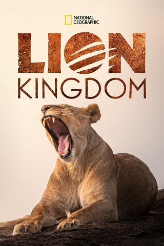Lion Kingdom poster