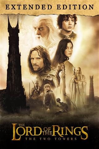 The Lord of The Rings: The Two Towers (Extended Edition) poster