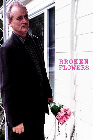 Broken Flowers - särkyneet kukat poster