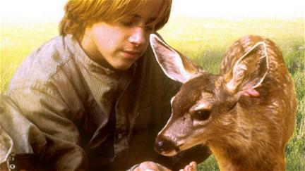 The Yearling poster