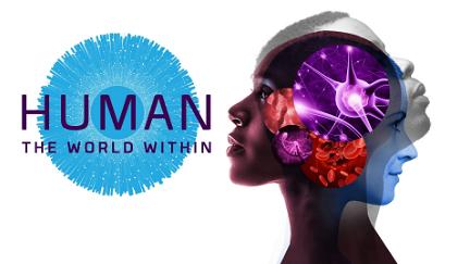 Human: il mondo dentro di noi poster