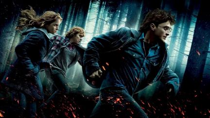 Harry Potter i Insygnia Śmierci Część 1 poster