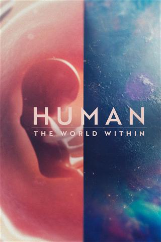 Menneskekroppen: En verden indeni poster