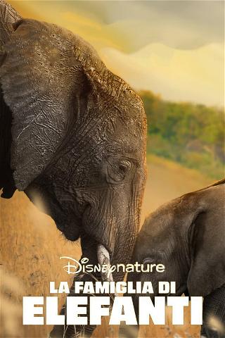 La Famiglia di Elefanti poster