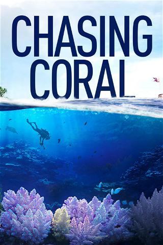 Chasing Coral: katoavaa korallia kuvaamassa poster