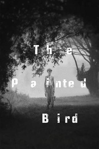 The Painted Bird - Nabarvené ptáče poster