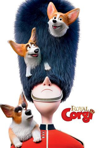Royal Corgi poster