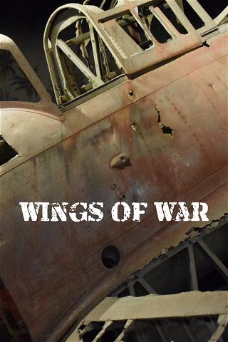 Wings of War poster