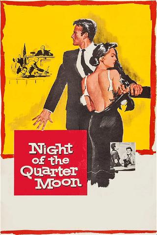 Noche de luna menguante poster