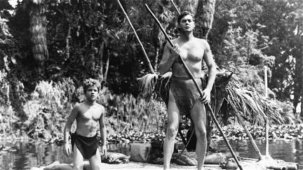 Tarzan e le Amazzoni poster