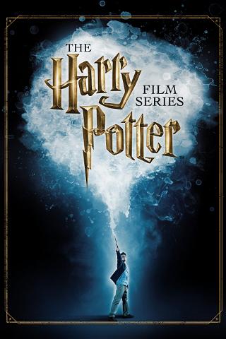 Harry Potter Exclusive poster