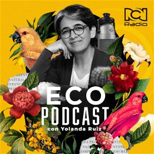 Eco Podcast poster
