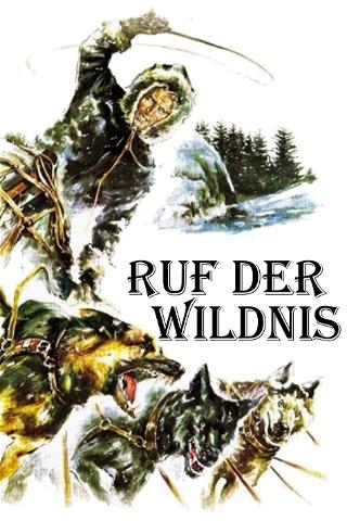 Ruf der Wildnis poster