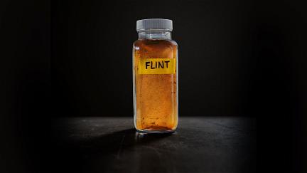 Flint poster