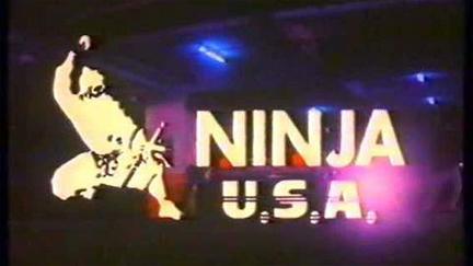 Ninja USA poster