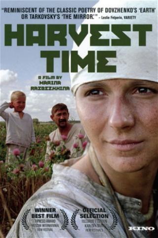 Harvest Time poster
